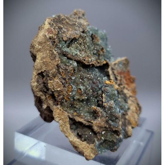 Manganoan Adamite & Adamite