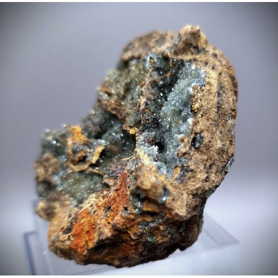 Manganoan Adamite & Adamite