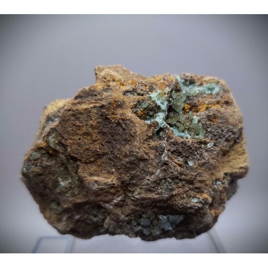 Manganoan Adamite & Adamite