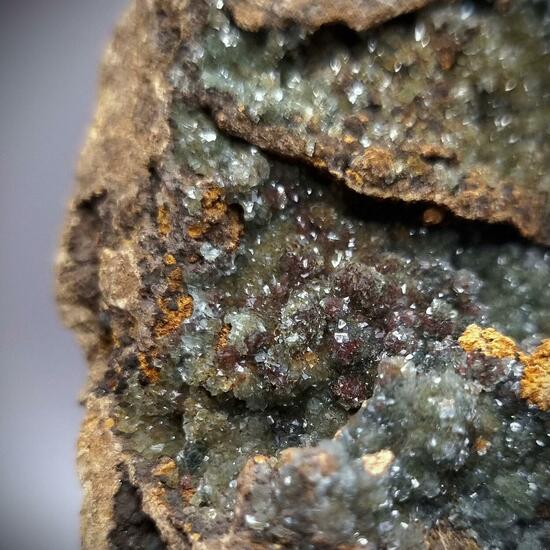 Manganoan Adamite & Adamite