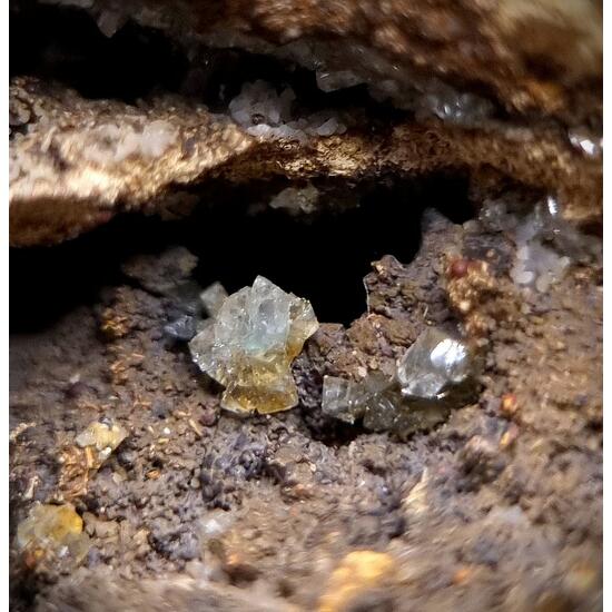 Manganoan Adamite & Adamite