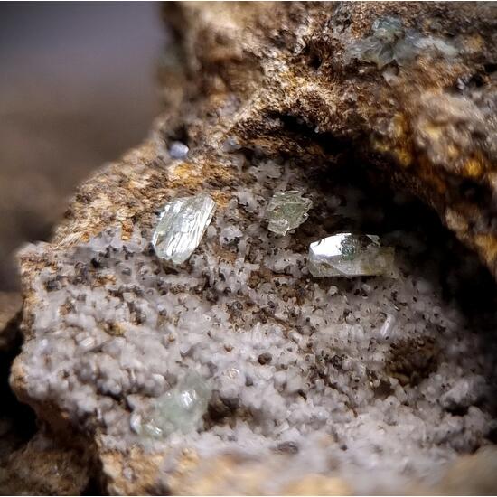 Manganoan Adamite & Adamite
