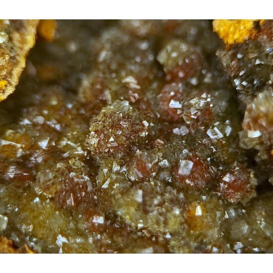 Manganoan Adamite & Adamite