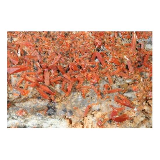 Crocoite