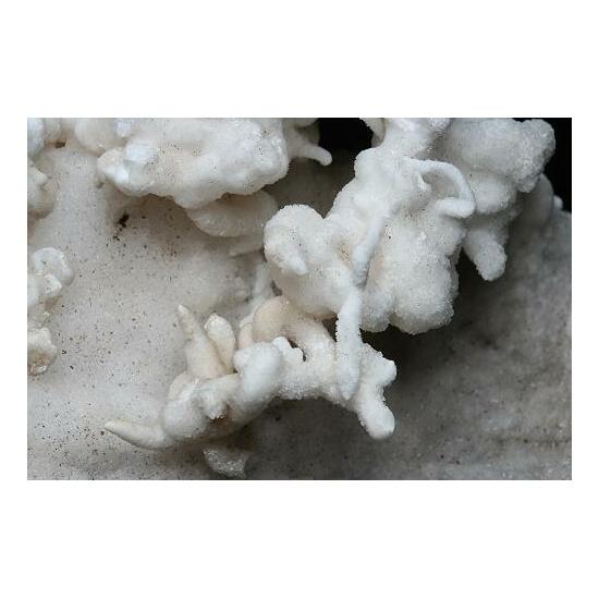 Aragonite Var Flos Ferri