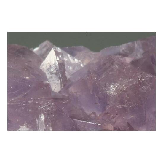 Creedite