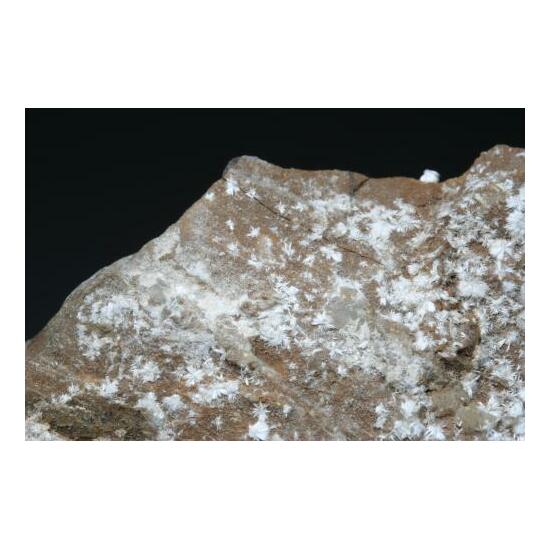 Dawsonite