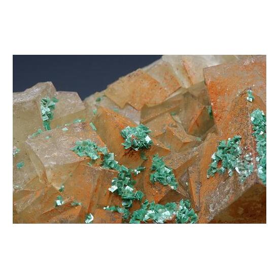 Torbernite On Fluorite