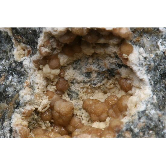 Siderite & Smectite Group