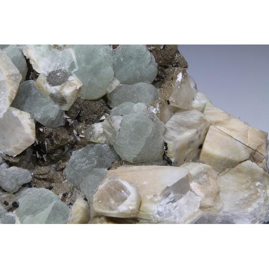 Prehnite Calcite & Julgoldite-(Fe2+)