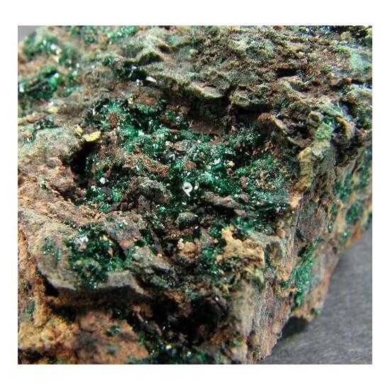 Paratacamite