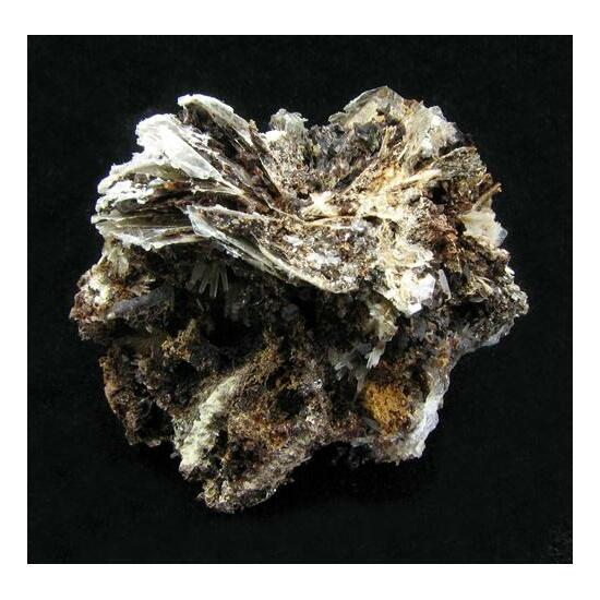 Eirikite & Polylithionite