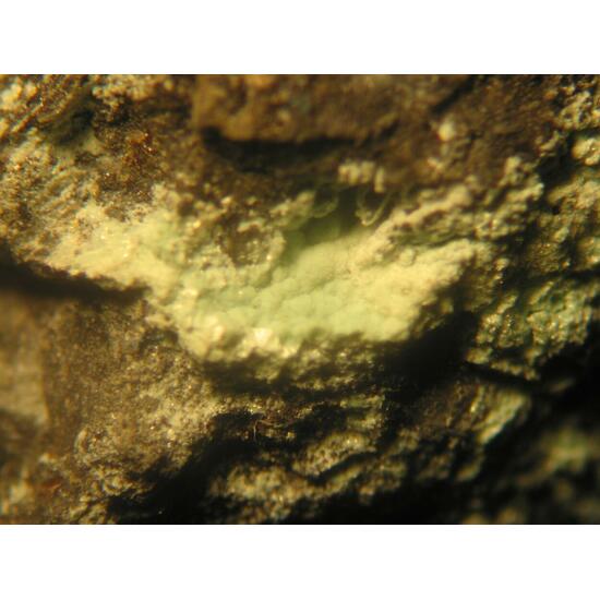 Alumohydrocalcite Azurite