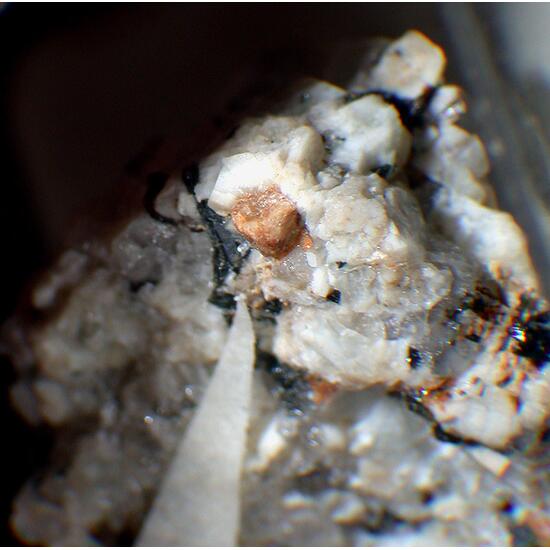 Dalyite