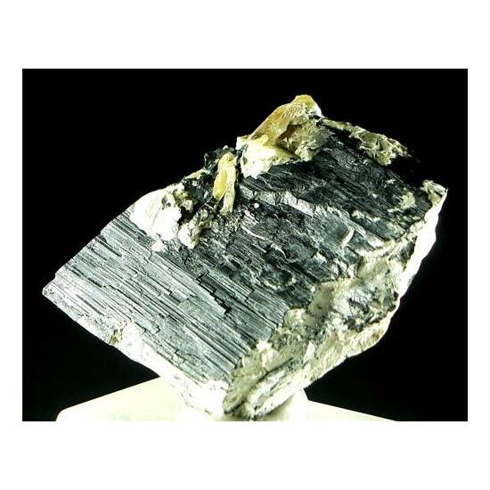 Ferro-actinolite