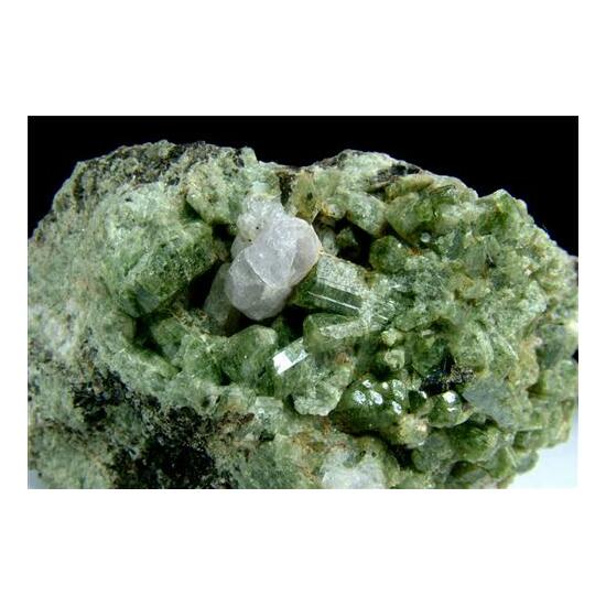 Scapolite With Diopside & Biotite