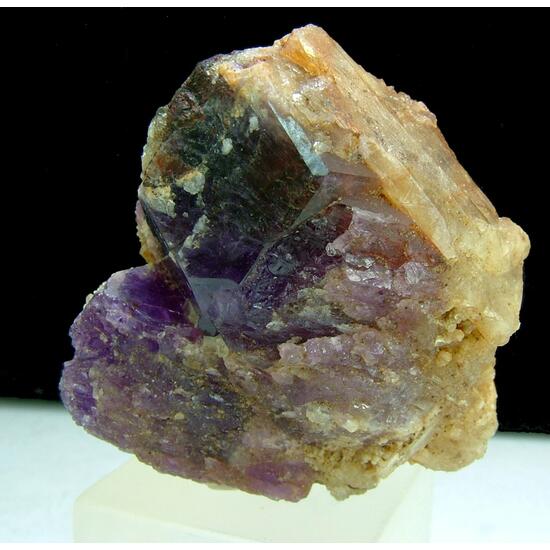 Sodalite Var Hackmanite With Winchite