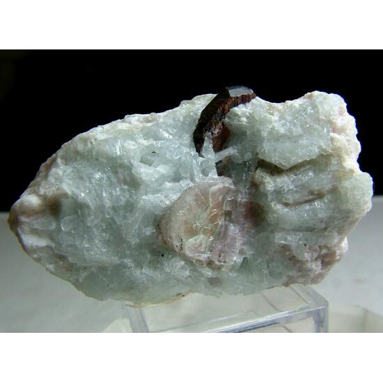 Tantalite-(Mn) With Cleavelandite & Lepidolite