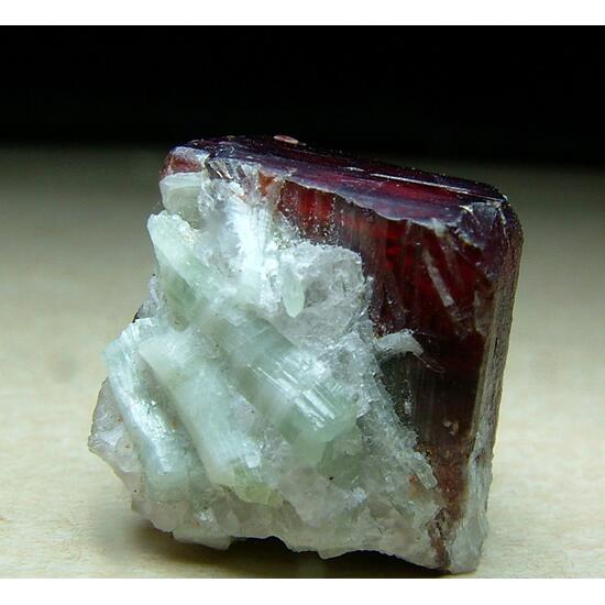 Tantalite-(Mn) With Elbaite