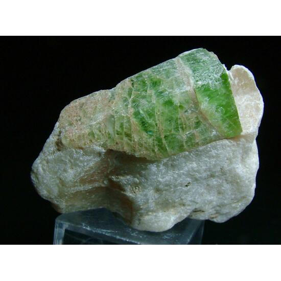 Tremolite With Talc