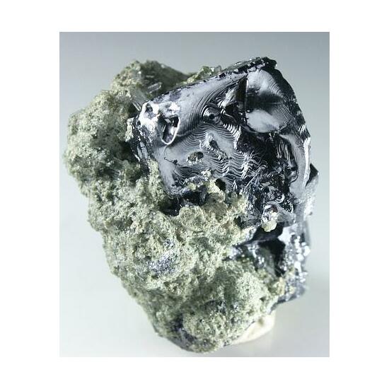 Galena On Quartz & Chlorite