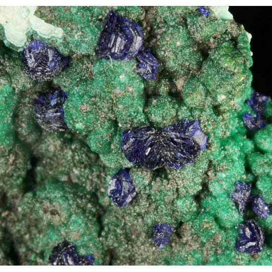 Azurite On Adamite