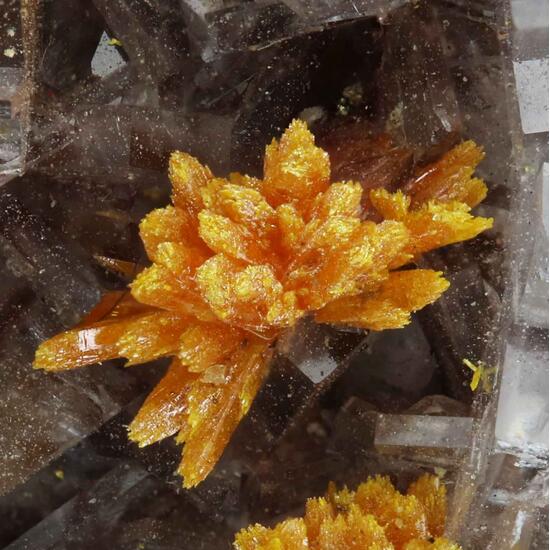 Baryte With Orpiment & Realgar