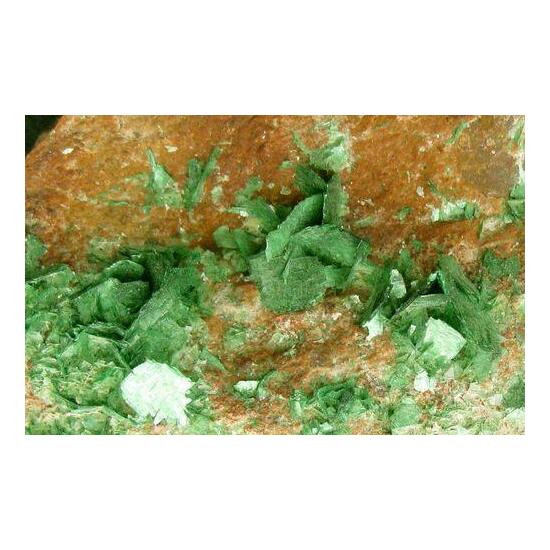 Autunite