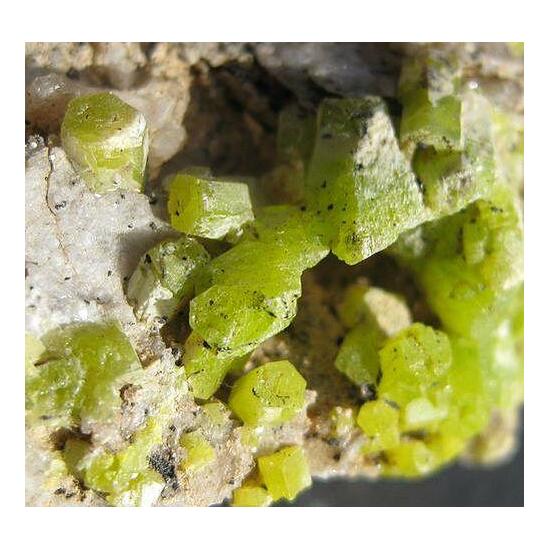 Pyromorphite On Quartz Psm Baryte