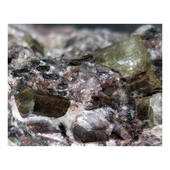 Apatite Augite & Hematite