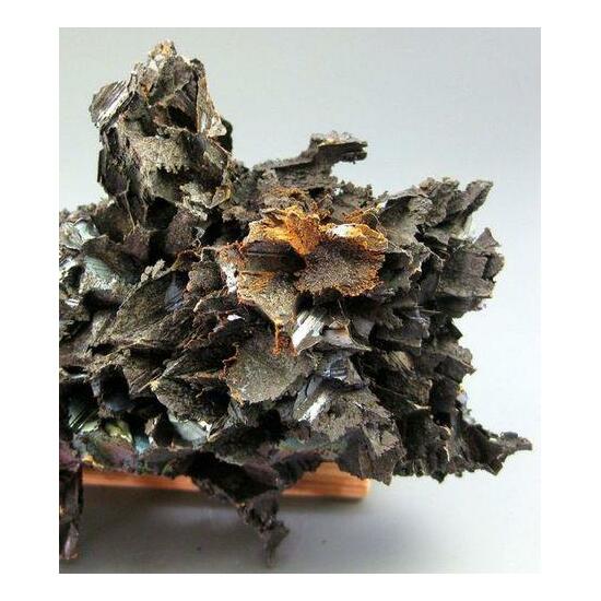 Goethite Psm Gypsum