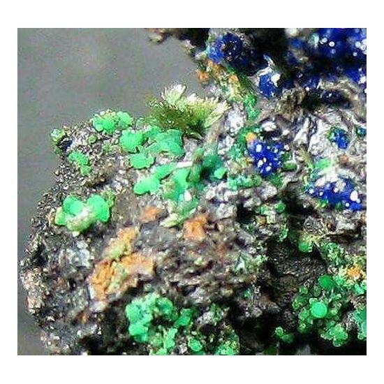 Ludjibaite Olivenite Azurite & Malachite