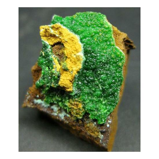 Conichalcite & Agardite