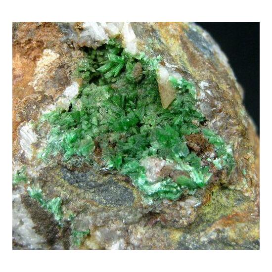 Annabergite With Native Arsenic