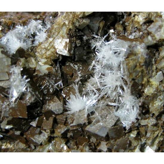 Aragonite On Siderite