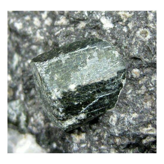 Augite