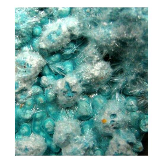 Aurichalcite & Gibbsite