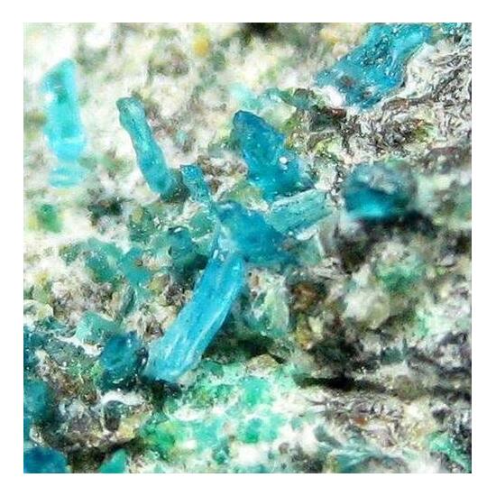 Chalcanthite