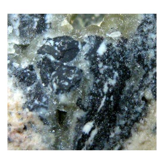 Ernienickelite In Carbonate-rich Fluorapatite