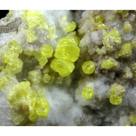 Native Sulphur On Anhydrite