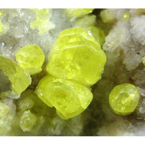 Native Sulphur On Anhydrite