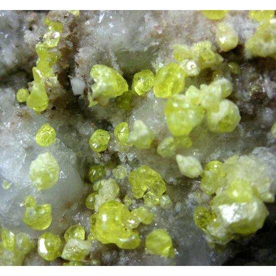 Native Sulphur On Anhydrite