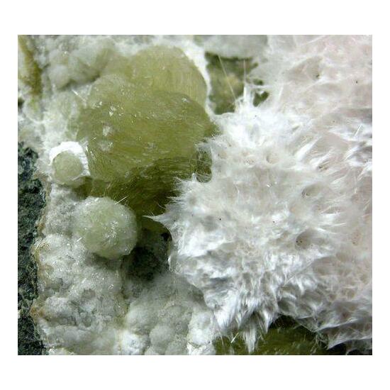 Okenite On Gyrolite