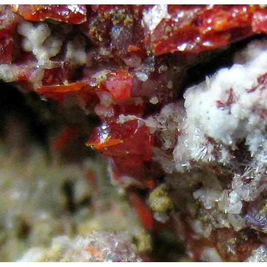 Realgar & Picropharmacolite