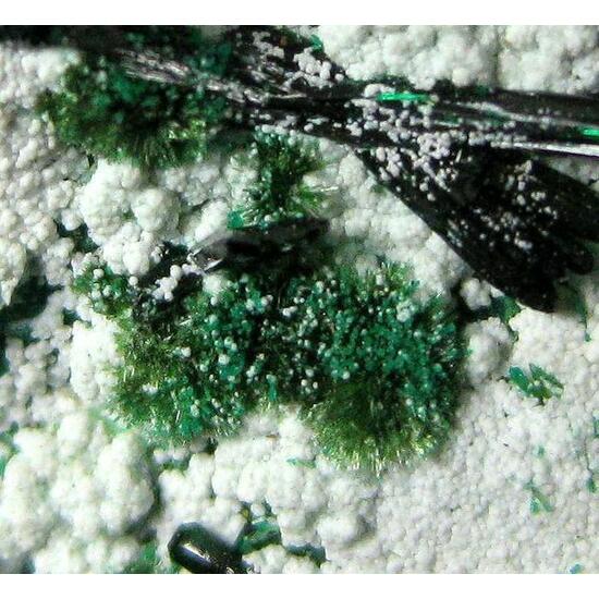 Atacamite Libethenite Halloysite & Dioptase