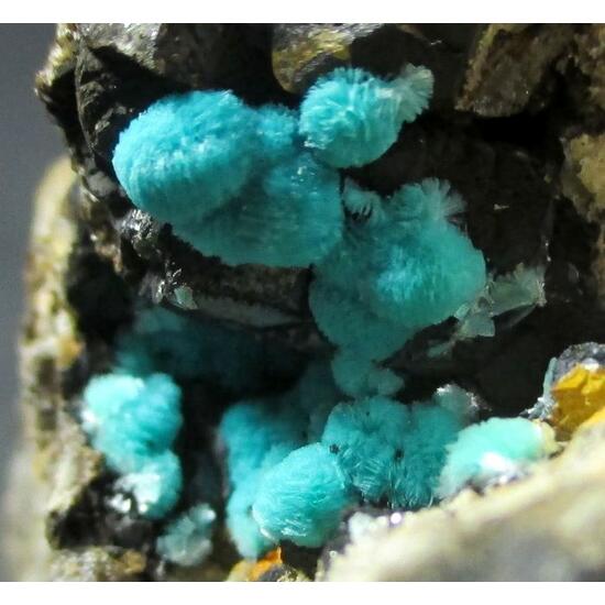 Aurichalcite