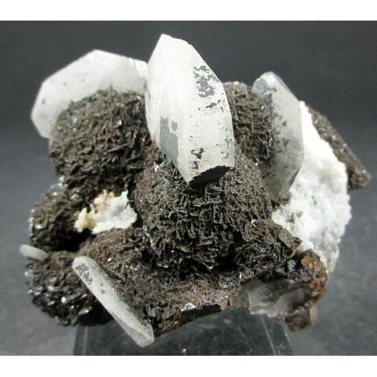 Baryte & Siderite