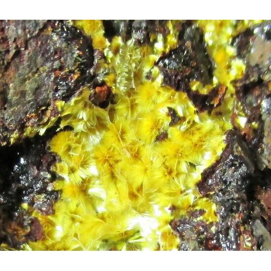 Cacoxenite