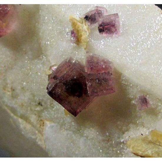 Fluorite & Siderite On Milky Quartz