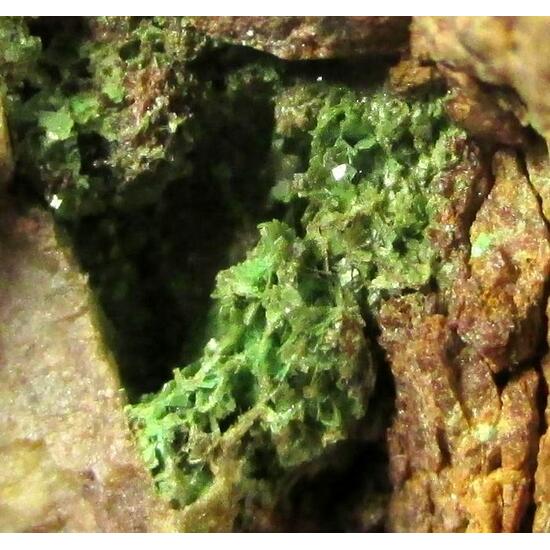 Metazeunerite & Uranocircite